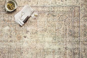 Vintage Beige Area Rug