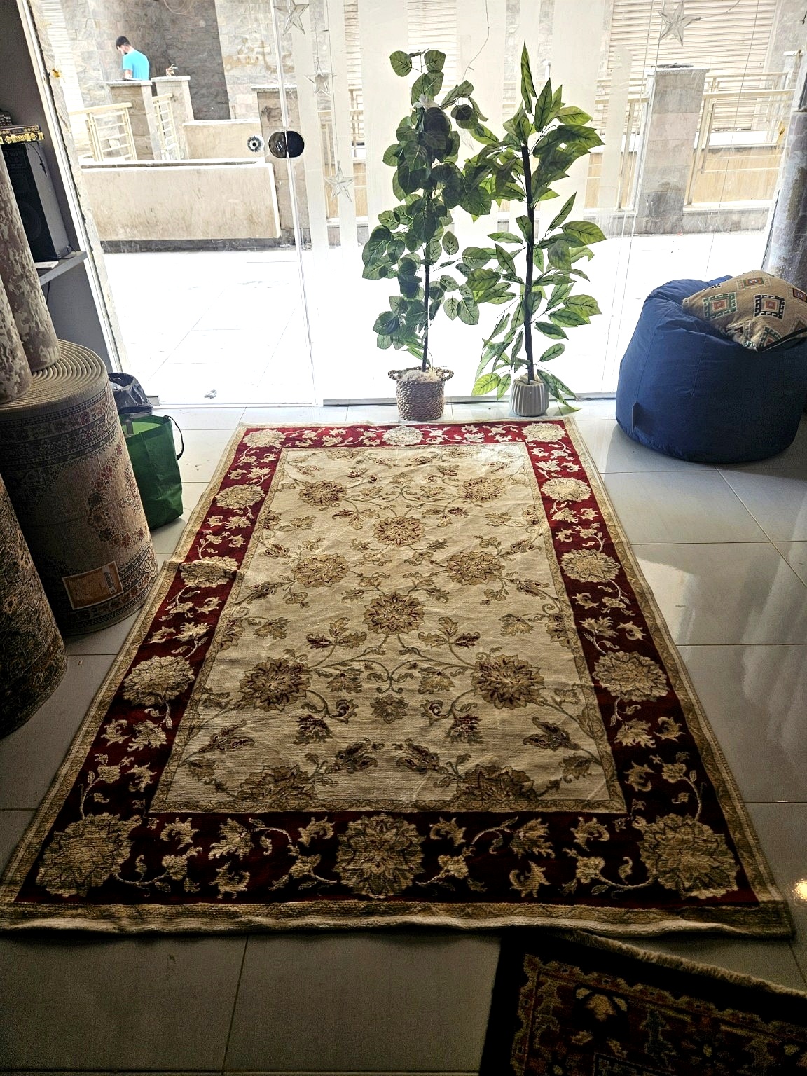 Elegant Floral Area Rug