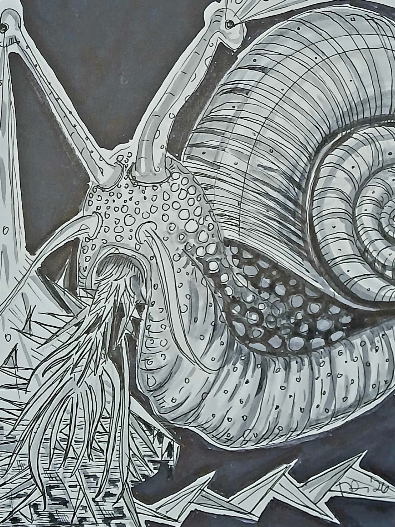 Snail with 12,000 Teeth
