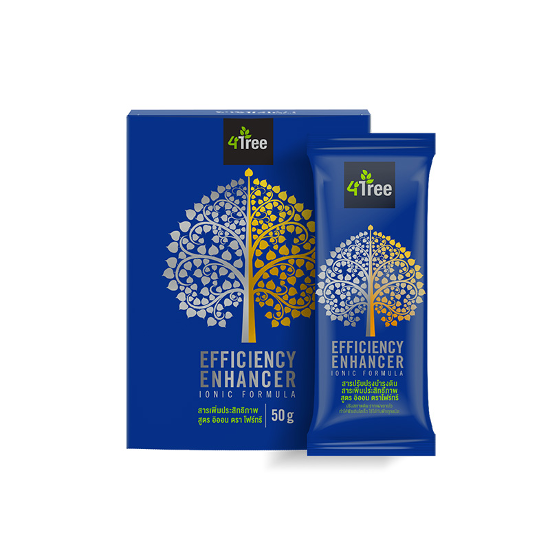 4Tree Boîte de 10 sachets x 5 g – Poids net : 50 g