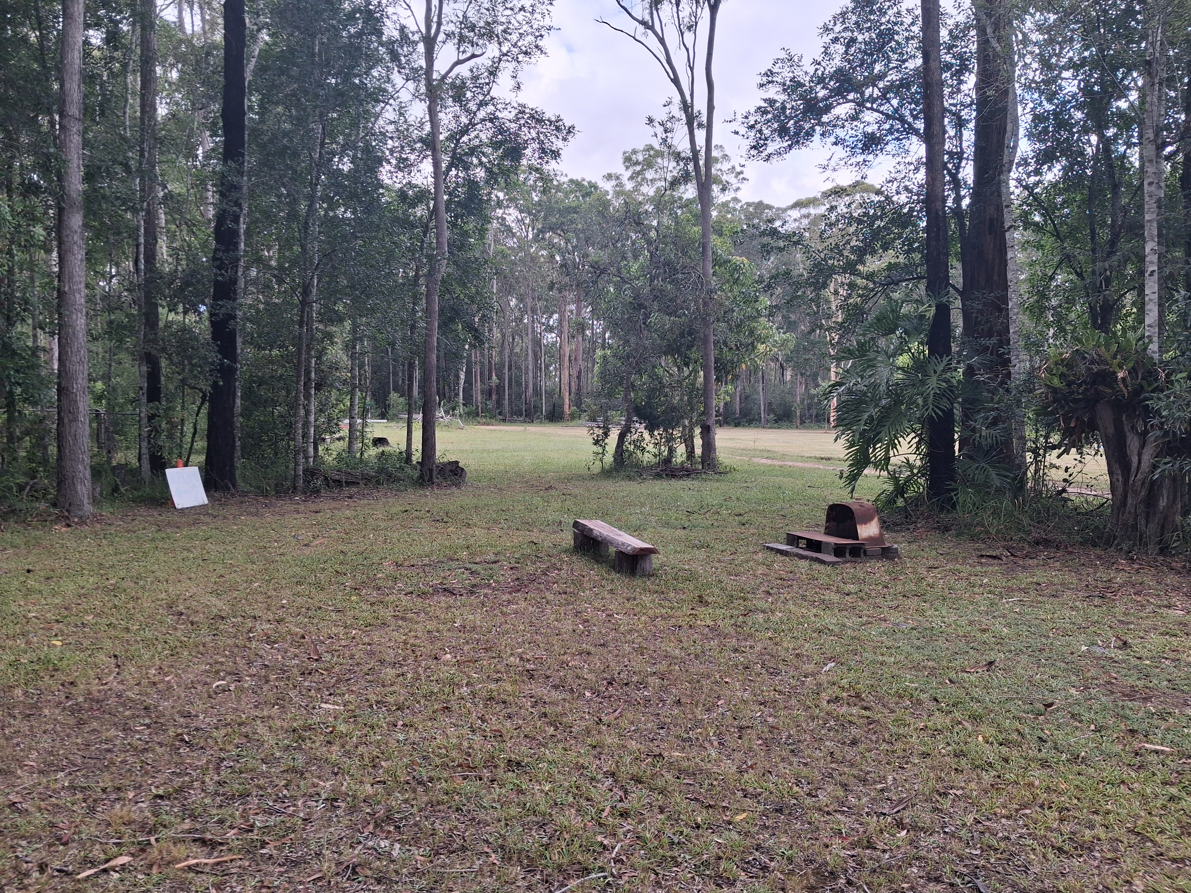 FOREST REGEN CAMP