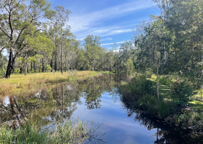 WATERBIRD SANCTUARY