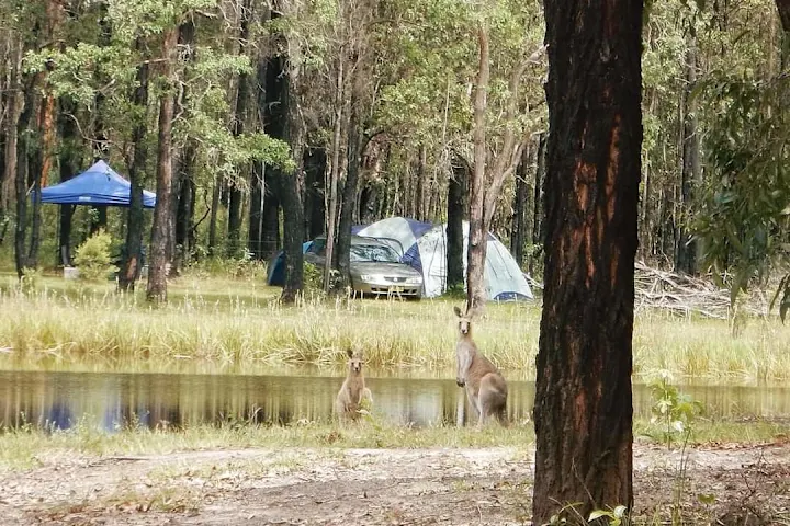 BILLABONG CAMP