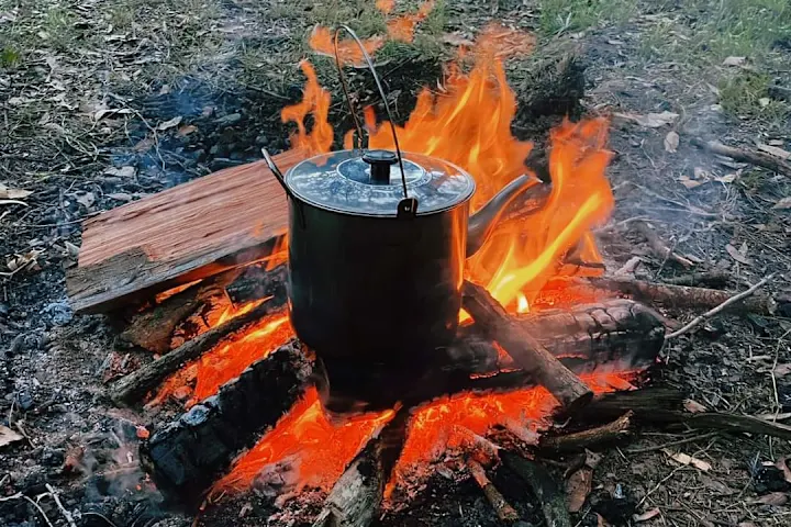 FOREST REGEN CAMP