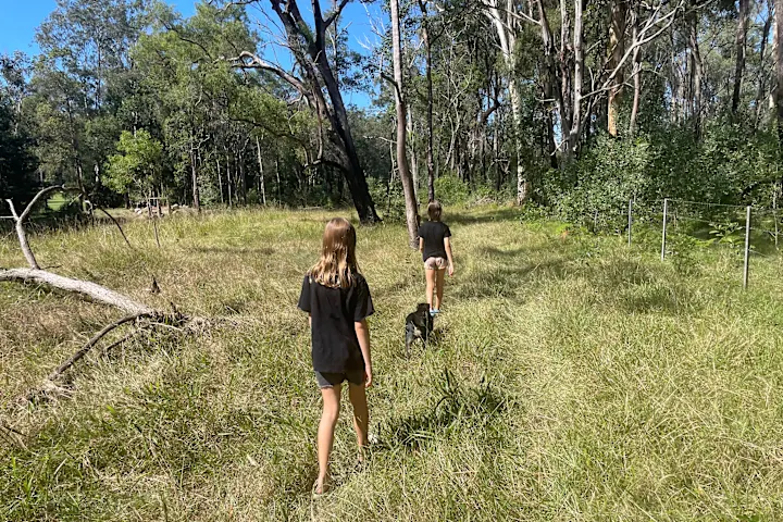 OPEN FOREST CAMP