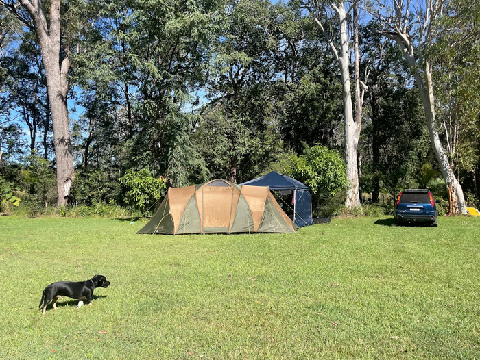 OPEN FOREST CAMP