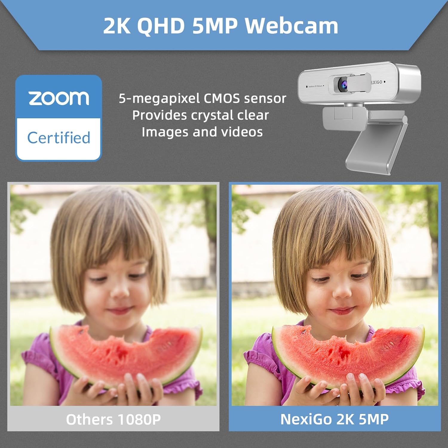 Nexigo N940P-Silver 2K QHD Webcam