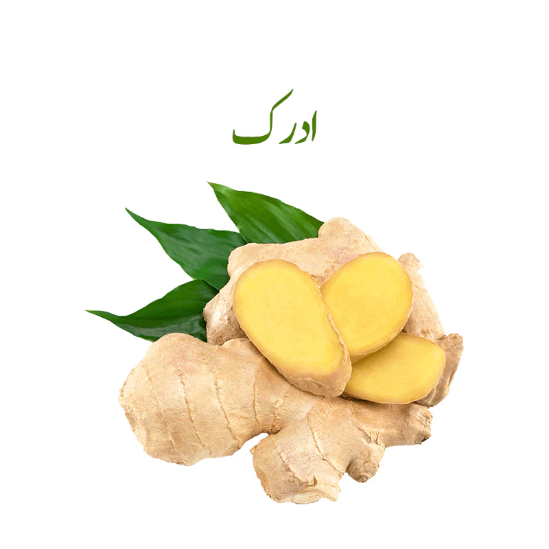 Fresh Ginger Root