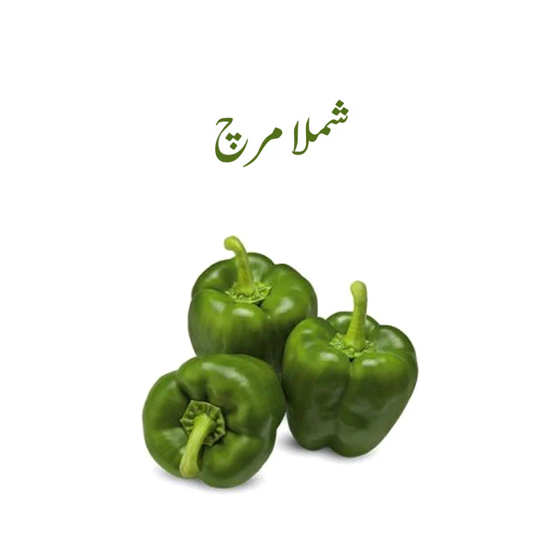 Green Bell Pepper