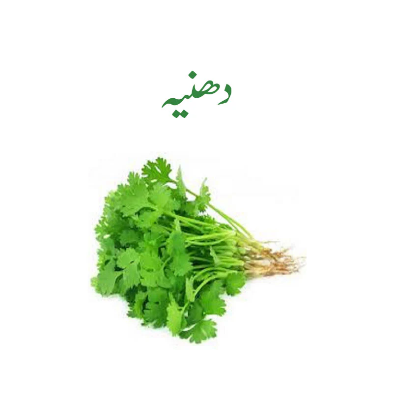 Fresh Coriander Bunch