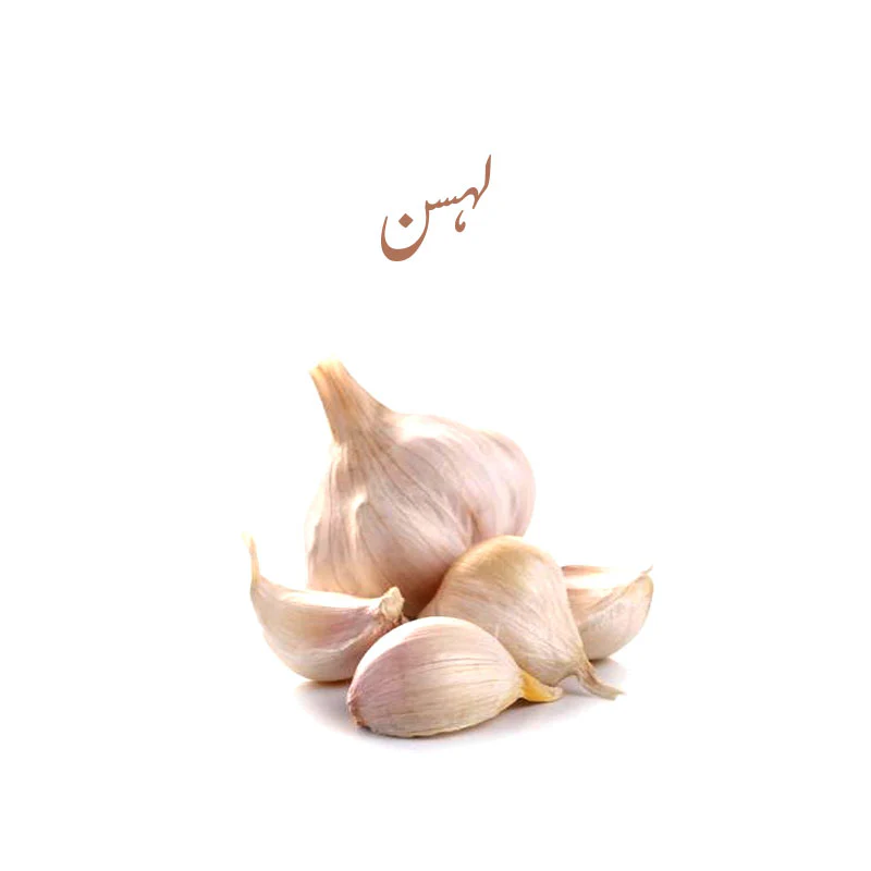 Fresh Garlic Bulb