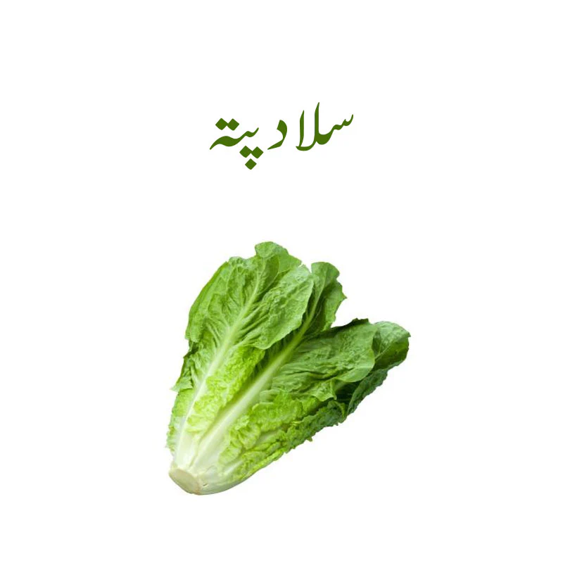 Romaine Lettuce