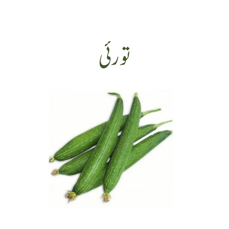 Ridge Gourd