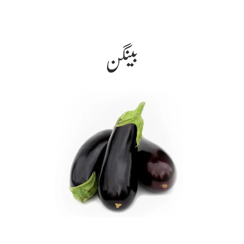Fresh Eggplant