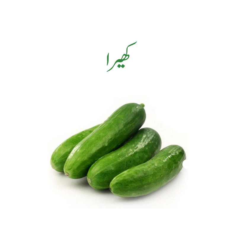 Fresh Cucumbers