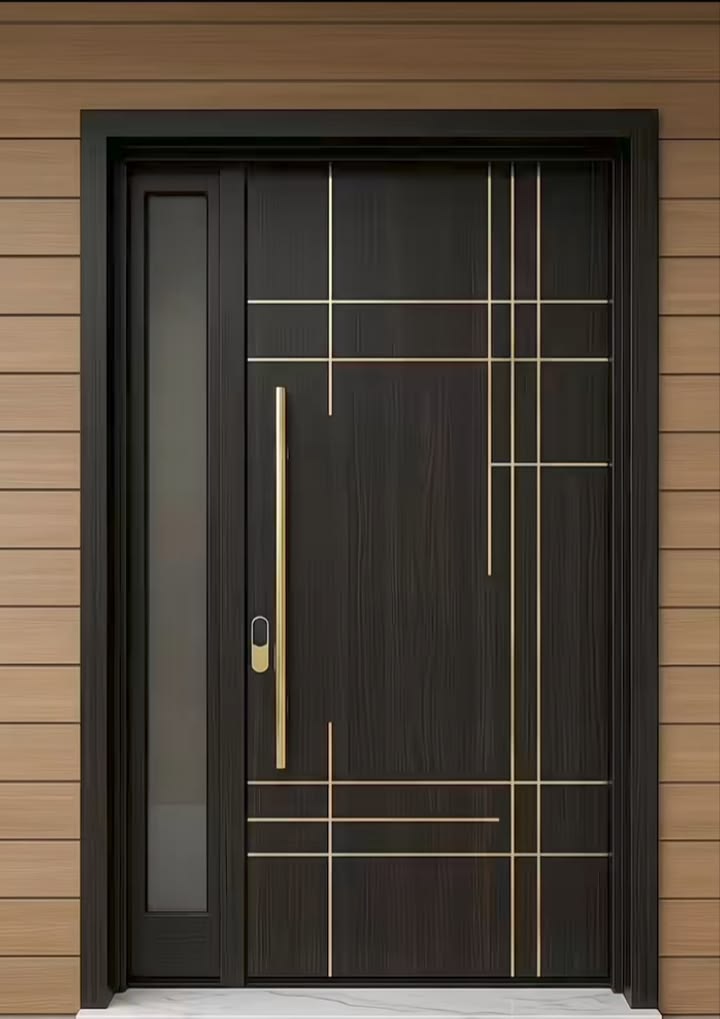 Modern Steel Security Door