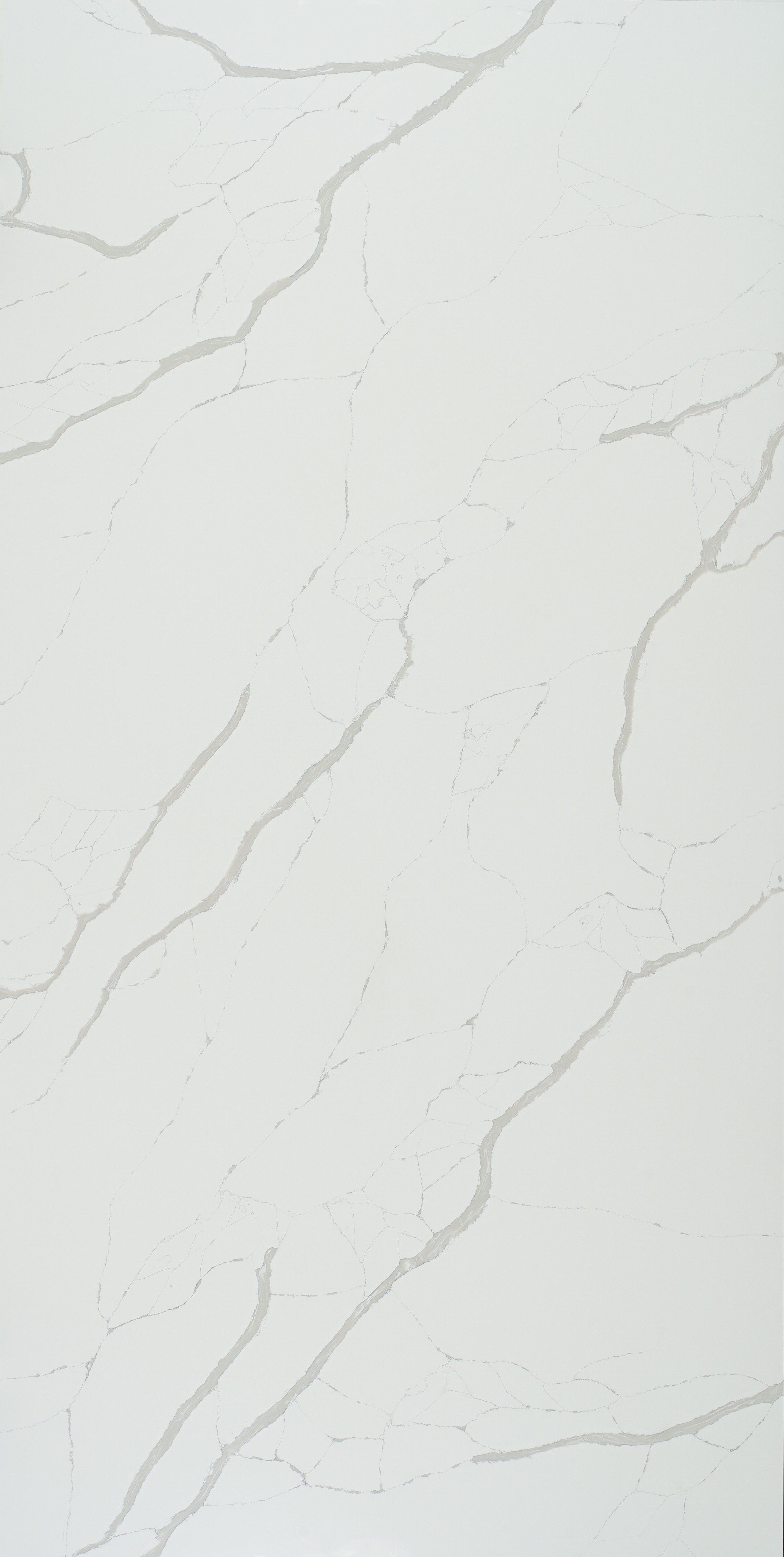 Dazzle Grey Quartz