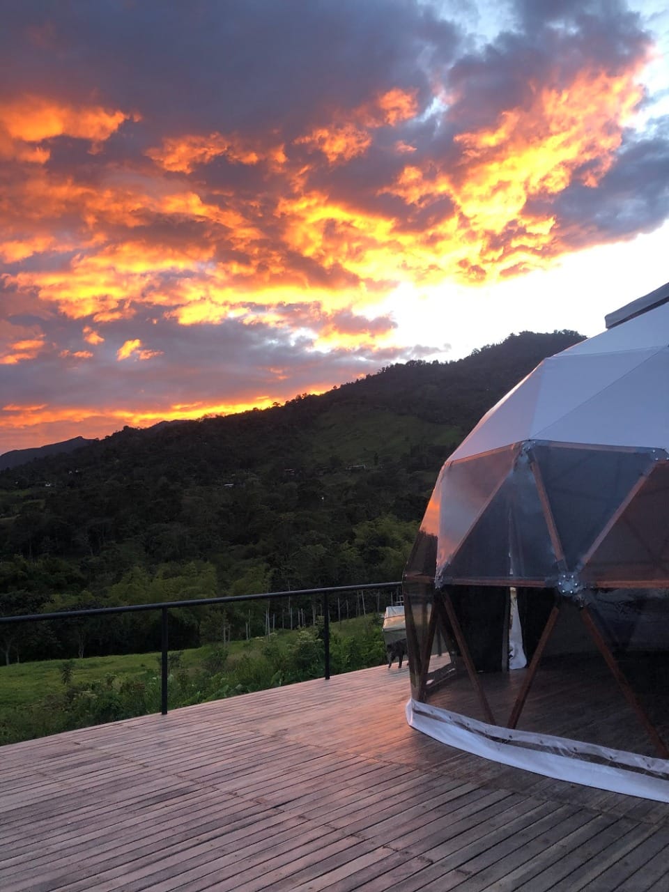 Reserva tu Glamping
