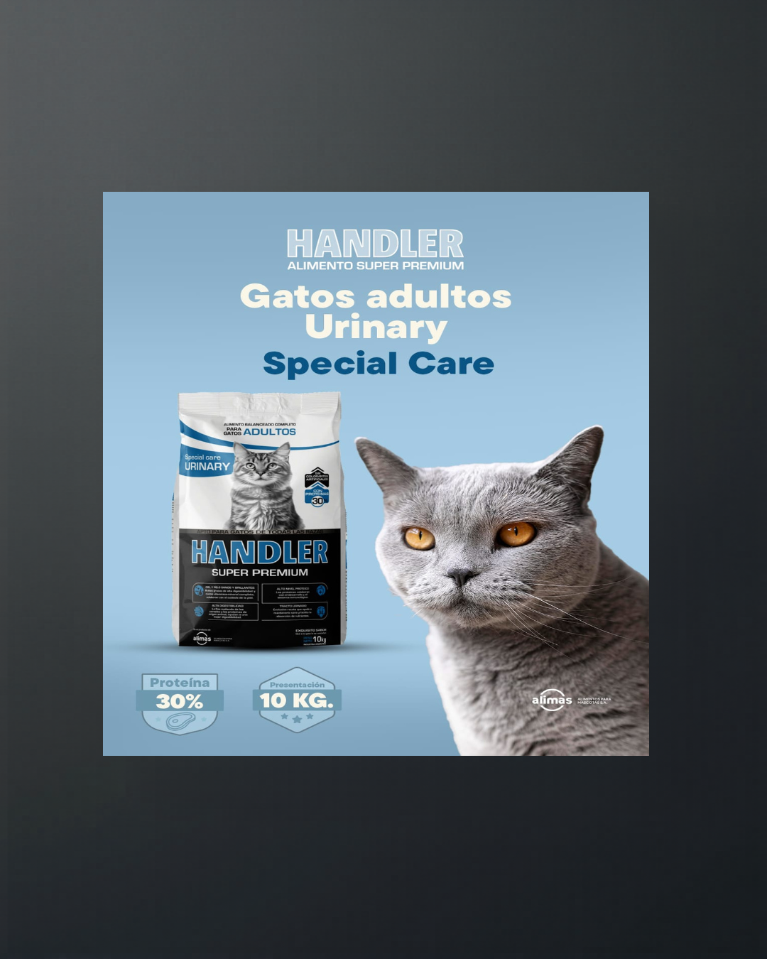 Handler Urinary Gatos Adultos 10kg