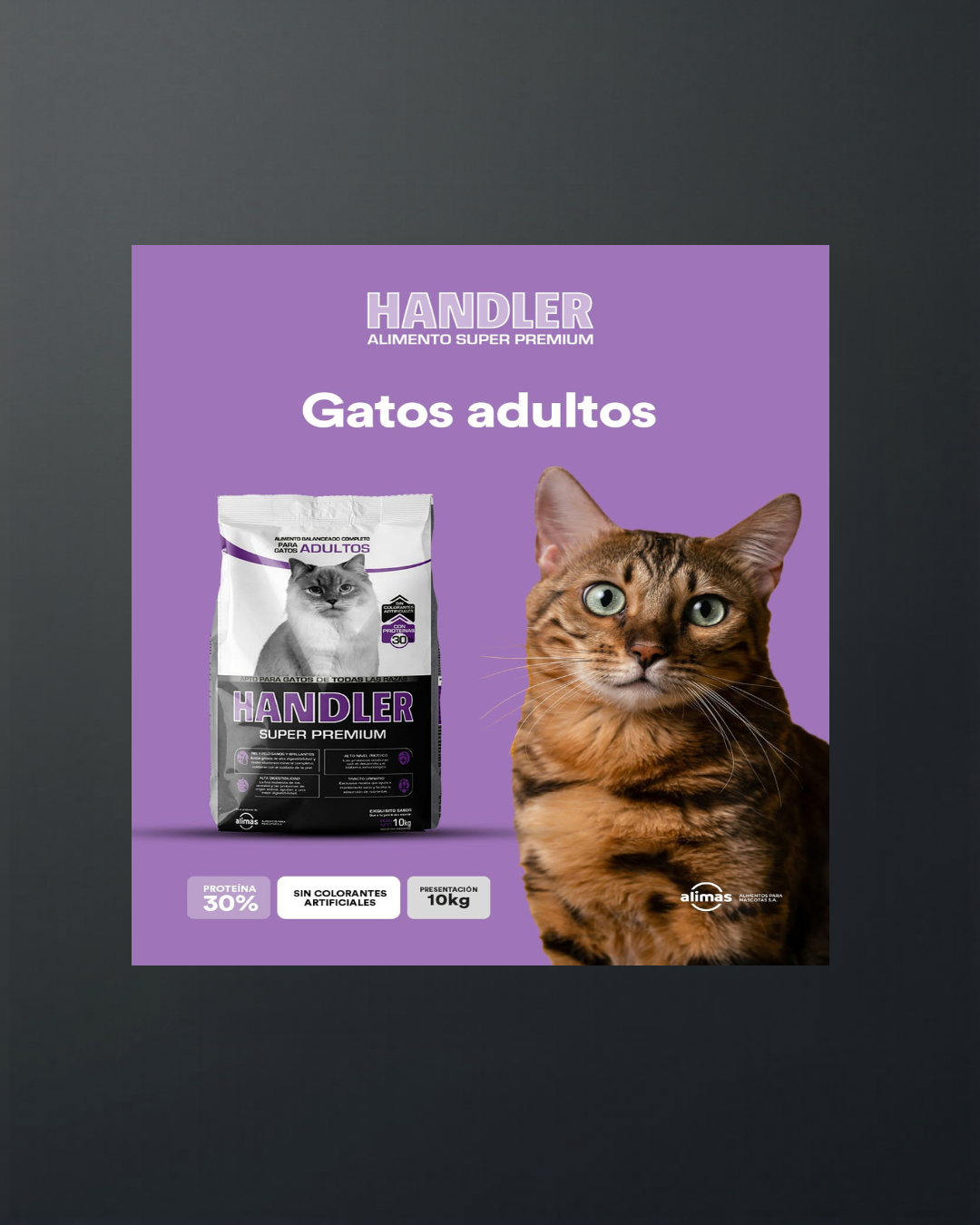 Handler Gatos Adultos 10kg