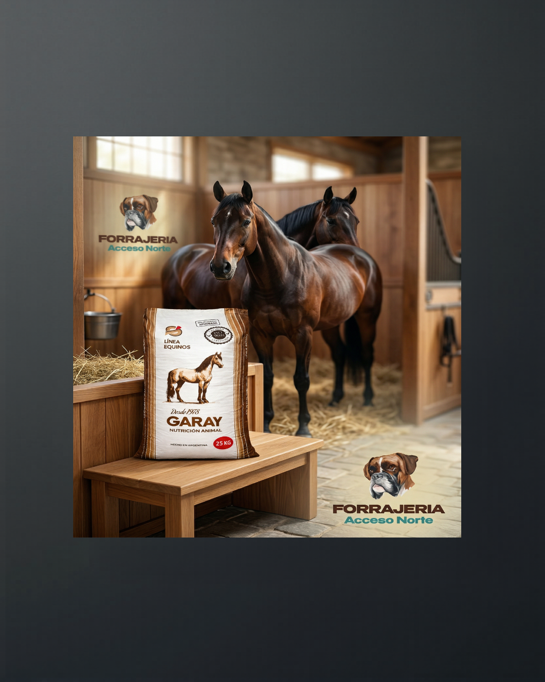 Alimento para Caballos Premium GARAY