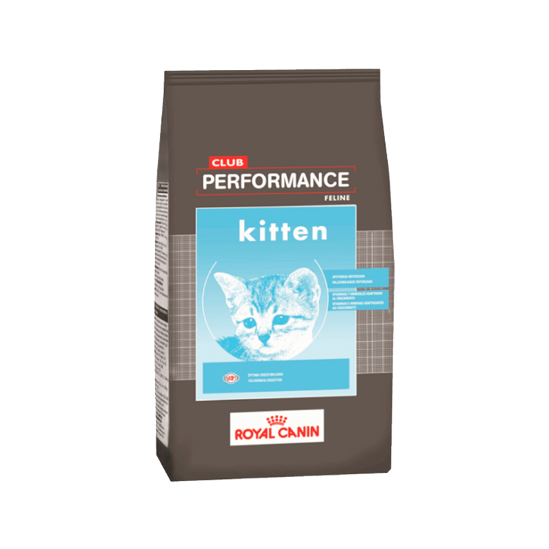 Royal Canin Kitten Club Performance