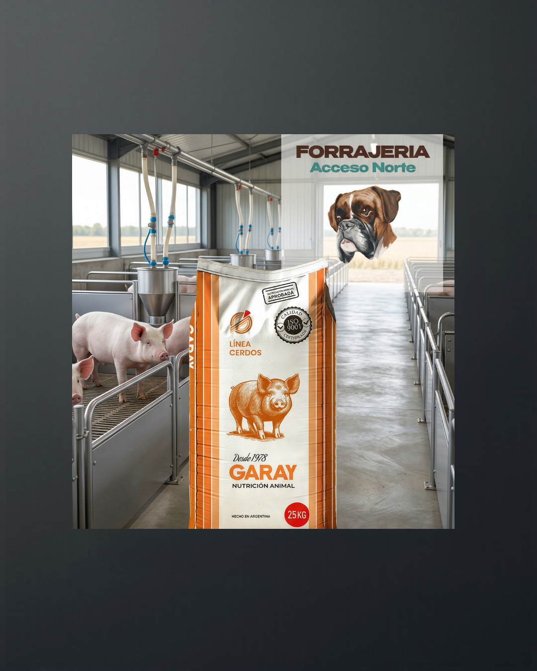 Alimento para Cerdos Garay 25kg