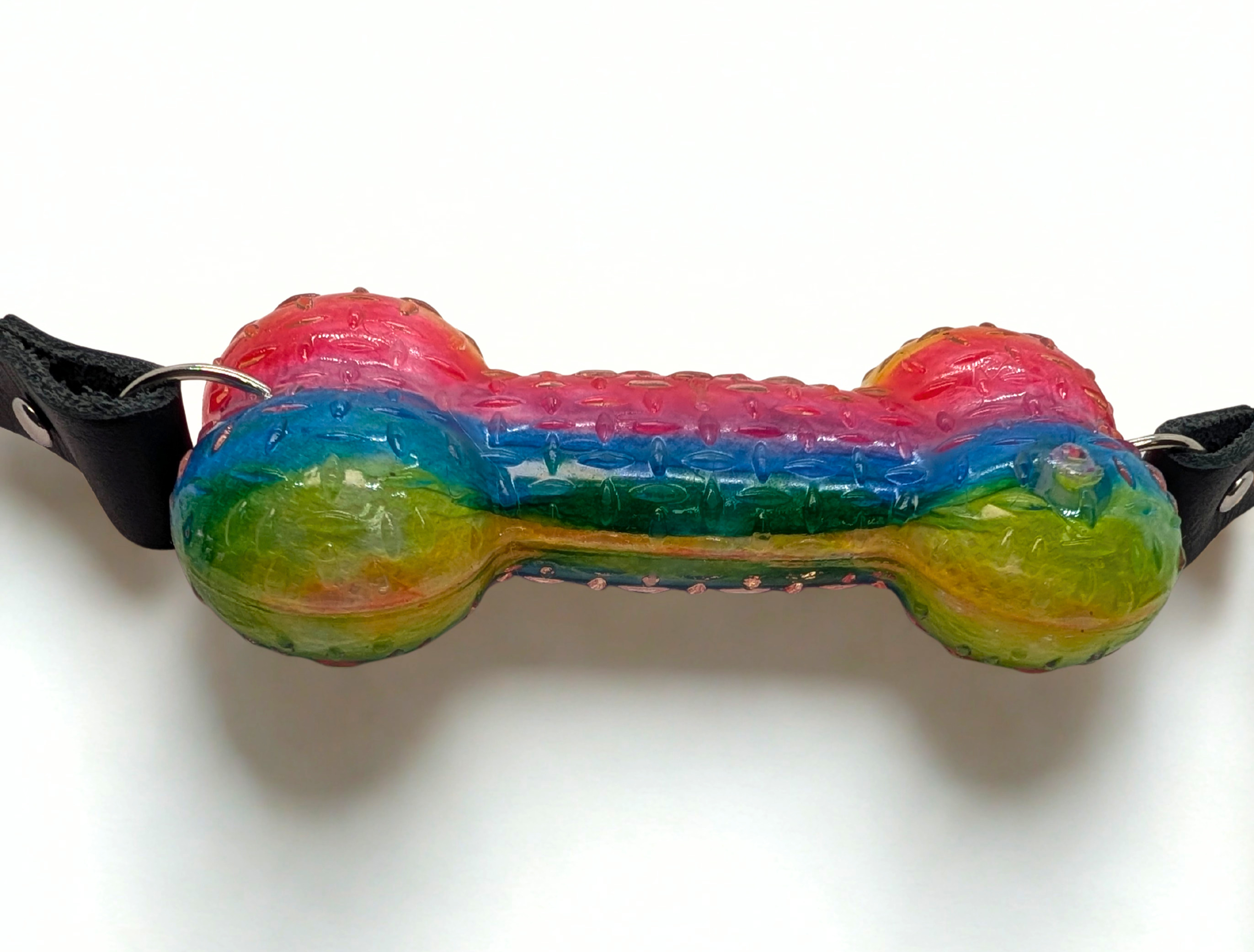 Rainbow Squeaky Bone Gag with Leather Straps