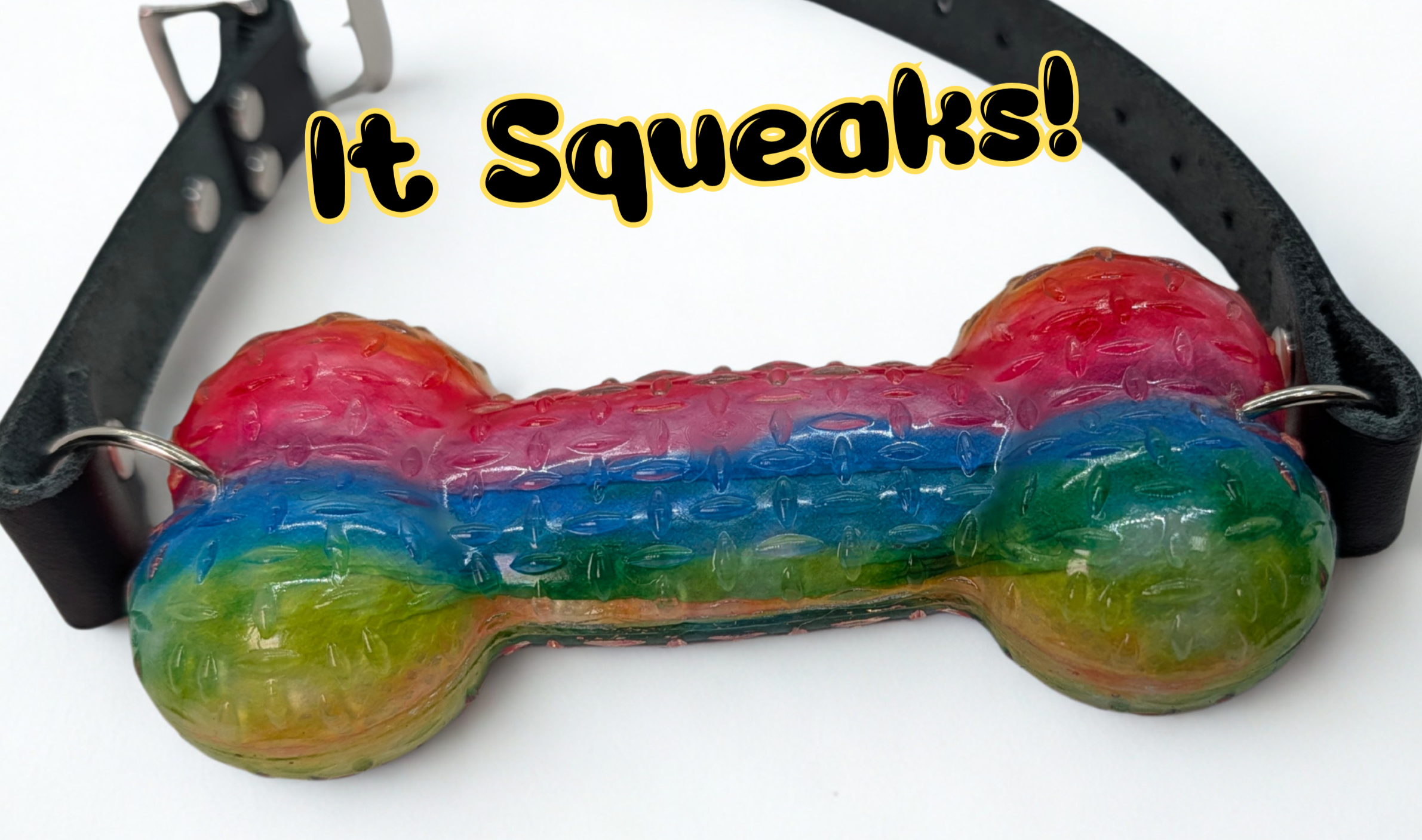 Rainbow Squeaky Bone Gag with Leather Straps