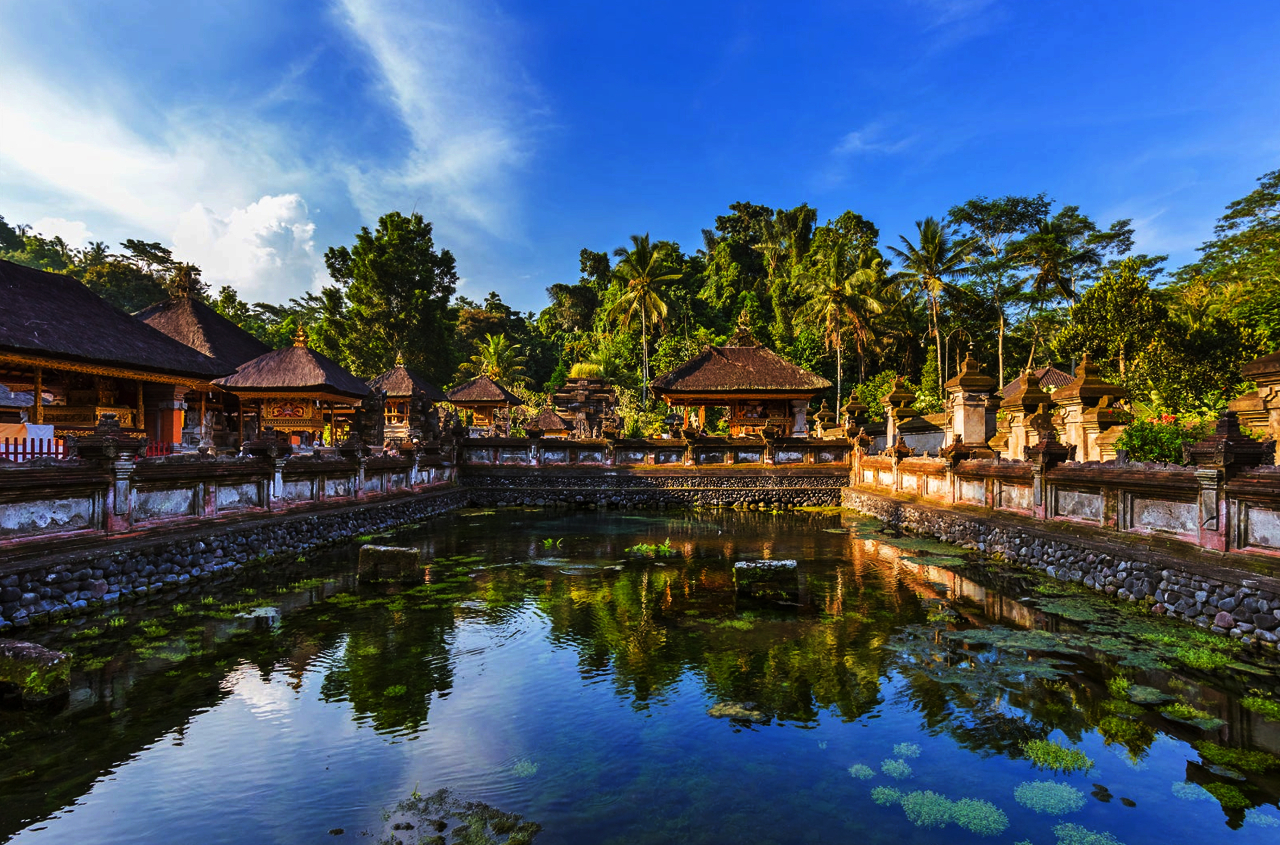 Ubud: Private Customizable Day Tour with Local Guide