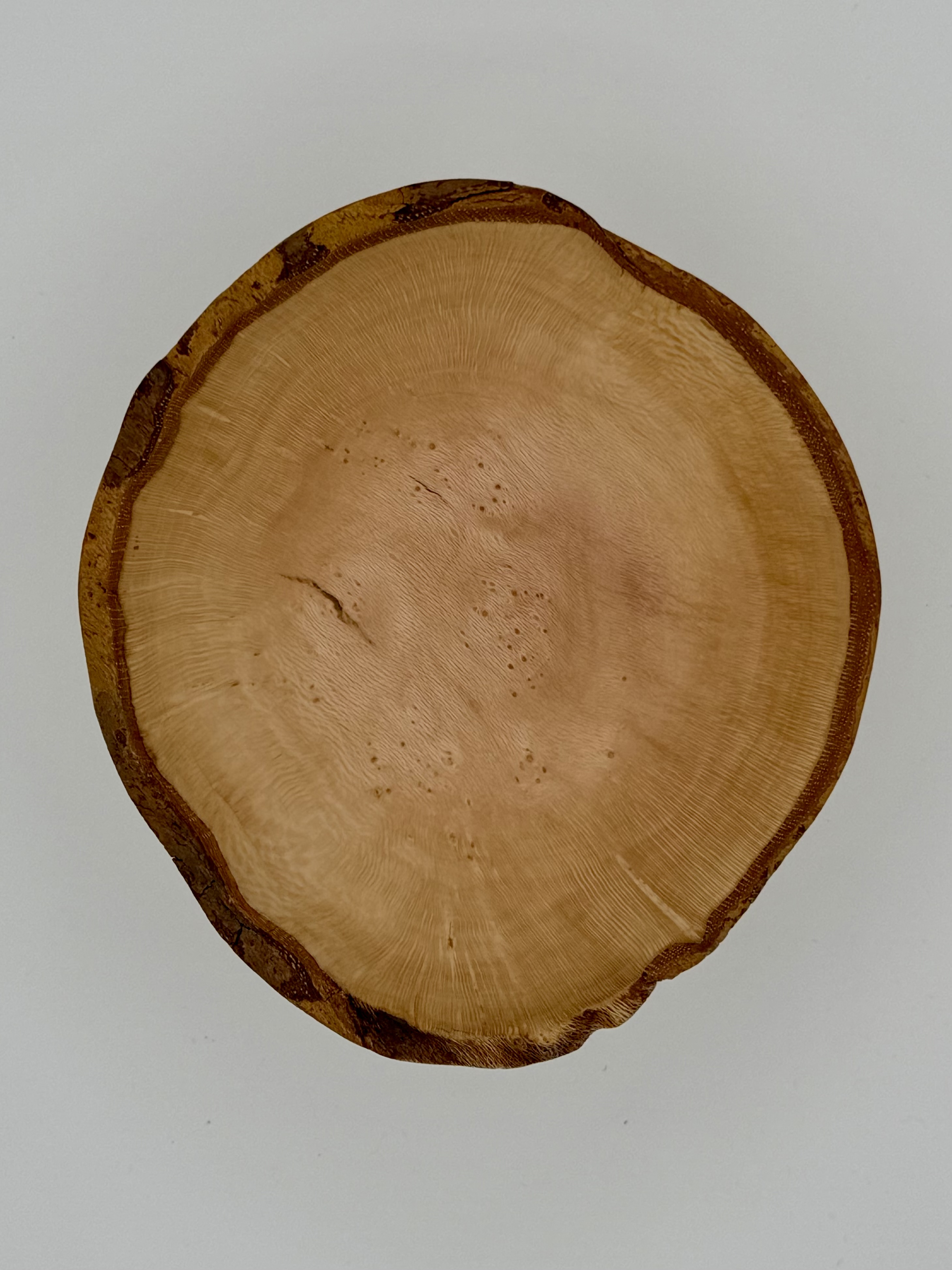 Live Edge Curly Maple Bowl, 6”