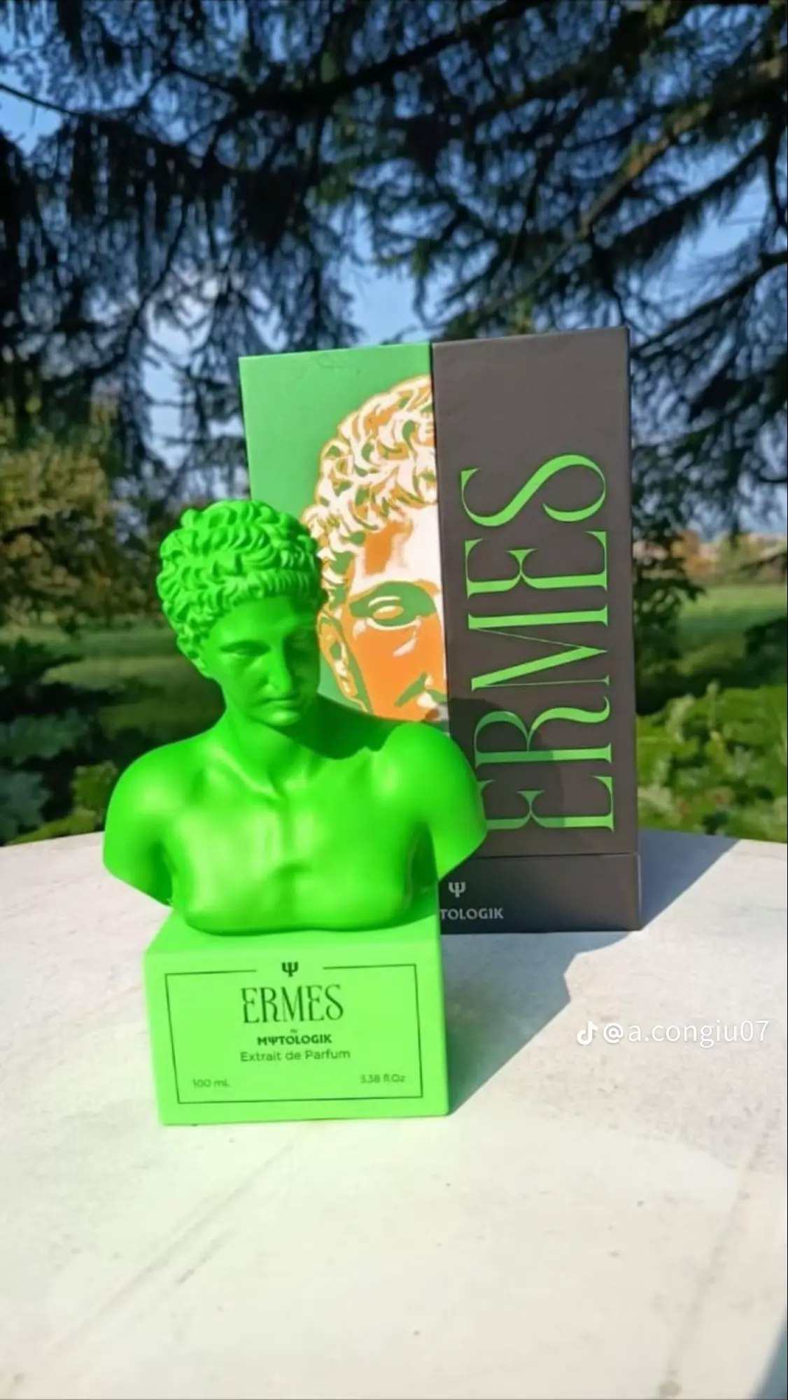 ERMES - Profumo Uomo Essenza 30% 100 ml 