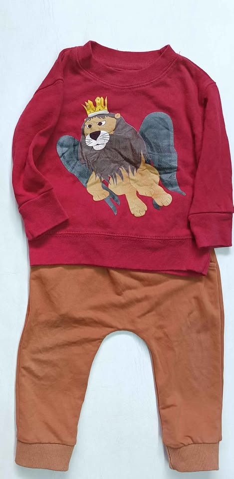 Conjunto infantil león rey