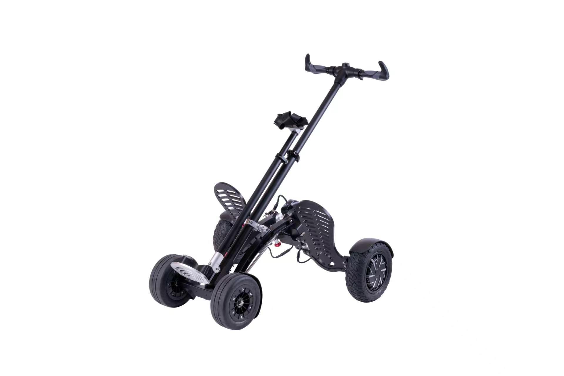 2-in-1 Golf Cart