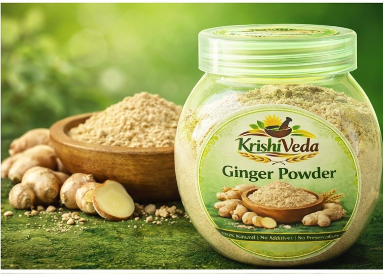 KrishiVeda Dehydrated Ginger Powder | Pure Taste | 100% Natural | No Additives | For Health and Cooking | Aids Digestion, Anti-Inflammatory, 200g