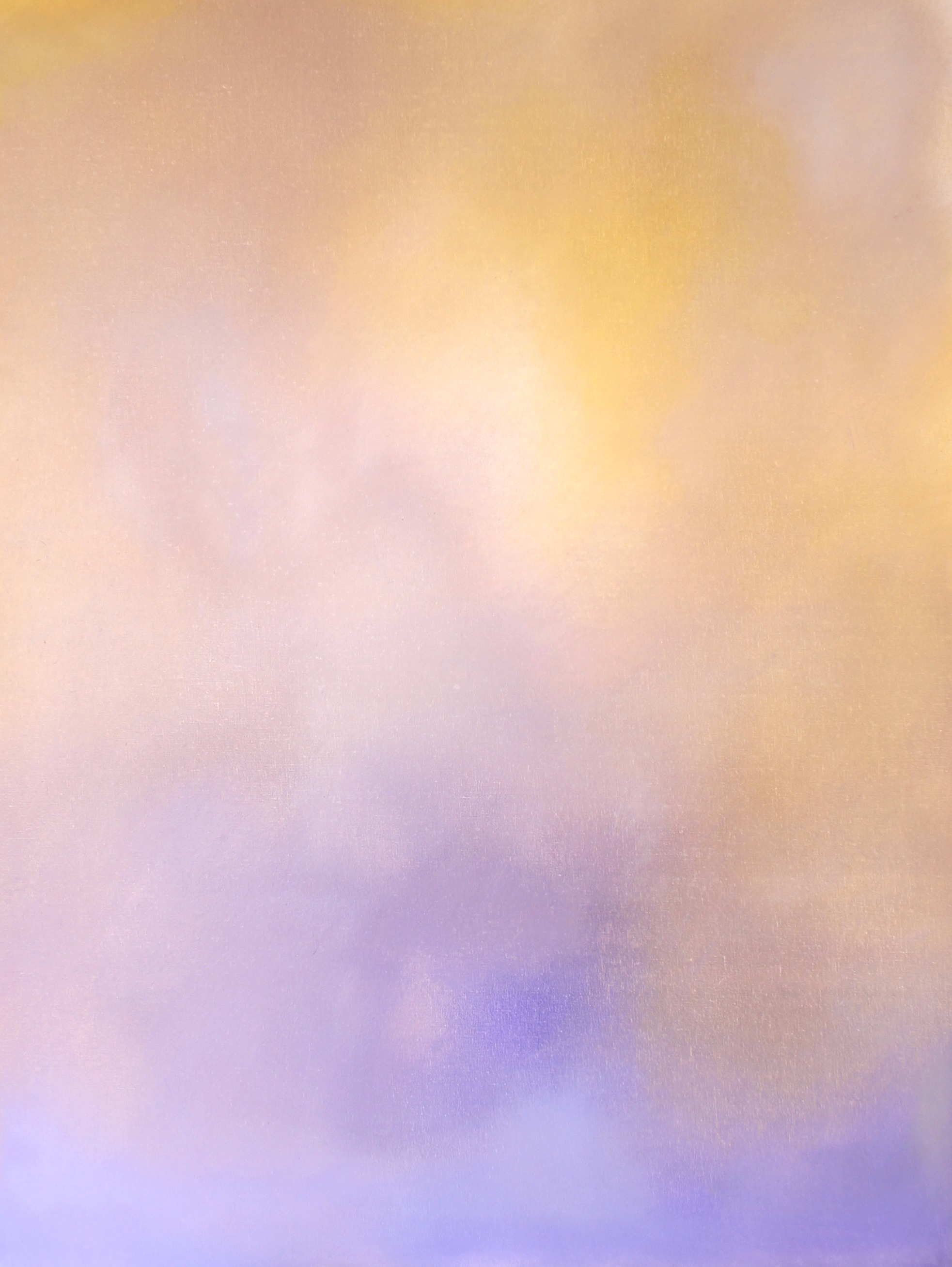 Held in Color V