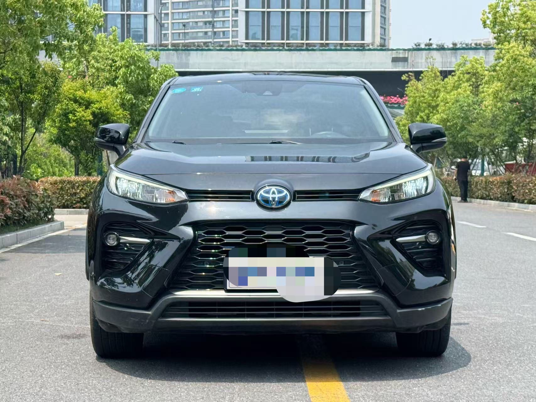 2020 Toyota Wildlander 2.5L Hybrid