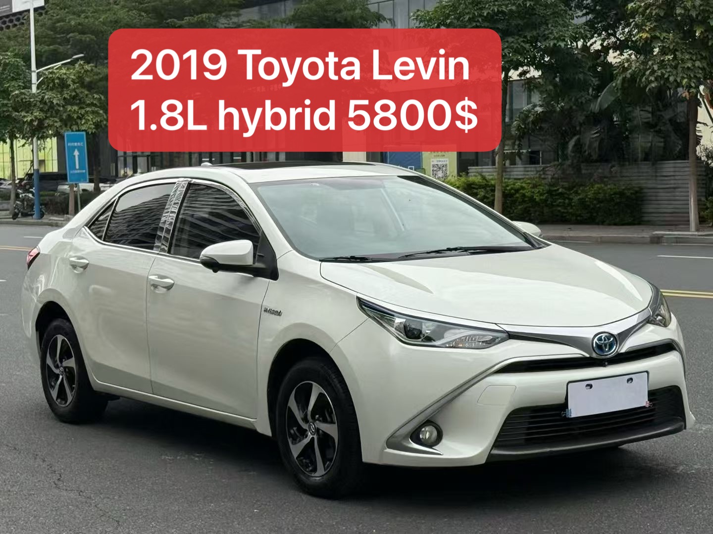 2019 Toyota Levin Hybrid