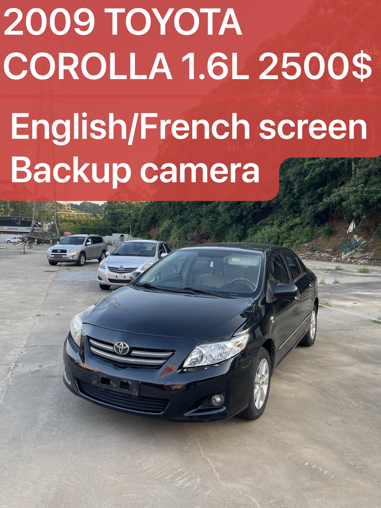 2009 Toyota Corolla 1.6L