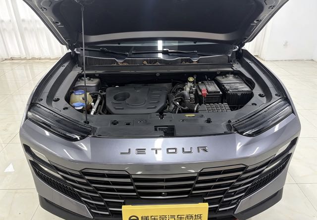 2024 Jetour DaSheng 1.6T