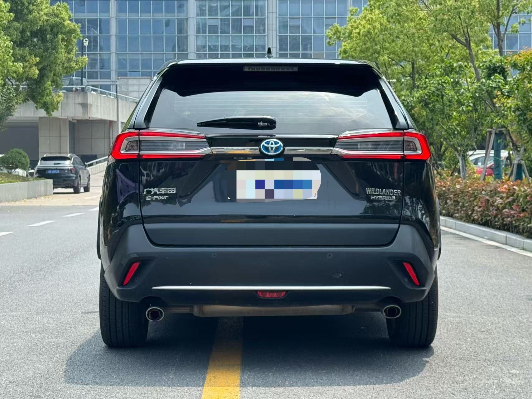 2020 Toyota Wildlander 2.5L Hybrid
