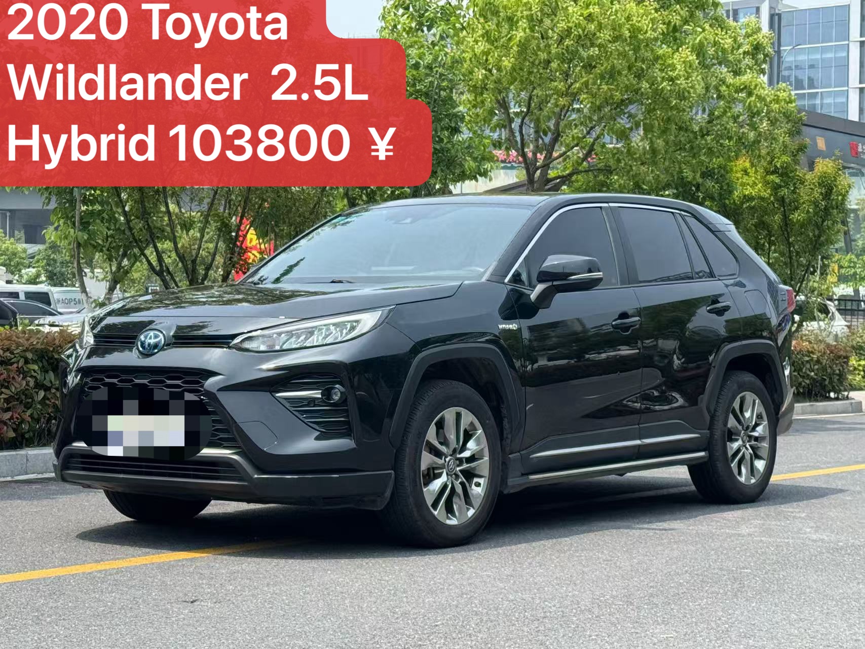 2020 Toyota Wildlander 2.5L Hybrid