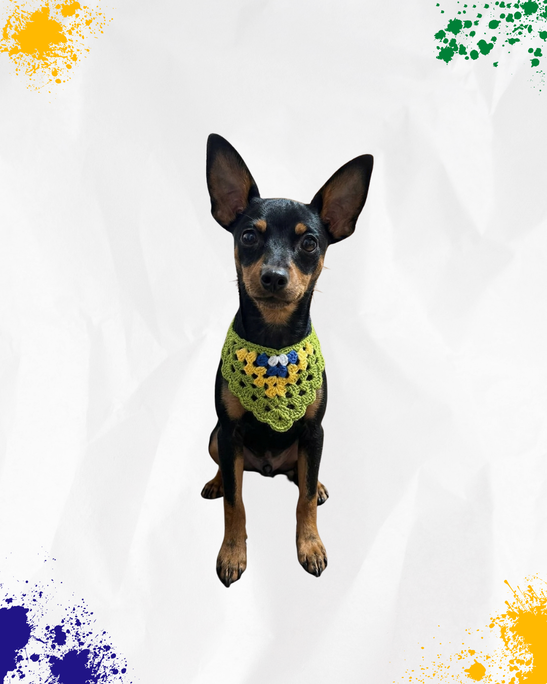 Bandana para Cachorro - Copa