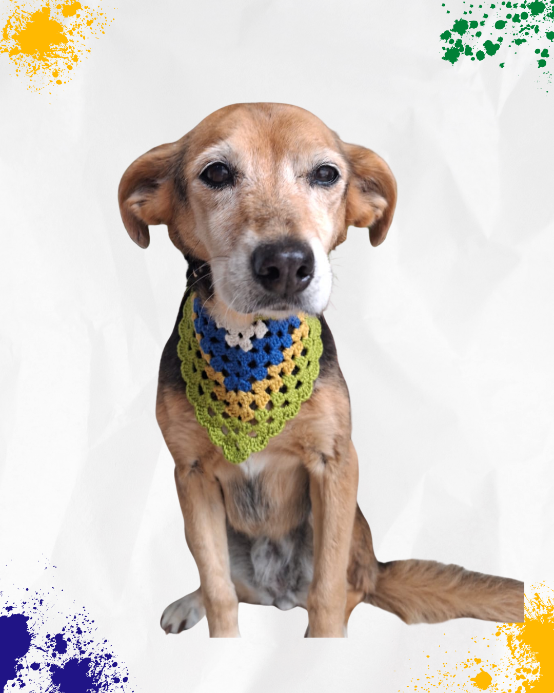 Bandana para Cachorro - Copa