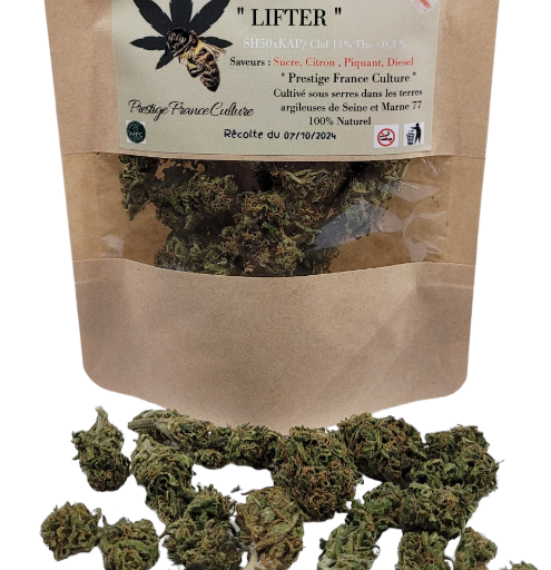 Lifter CBD 