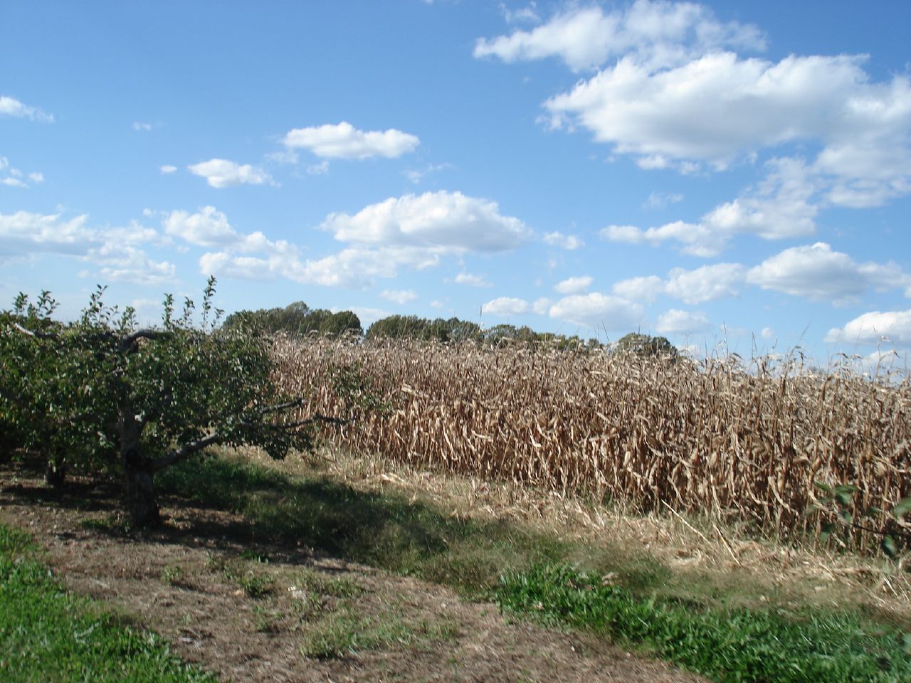 Harvest Hayride