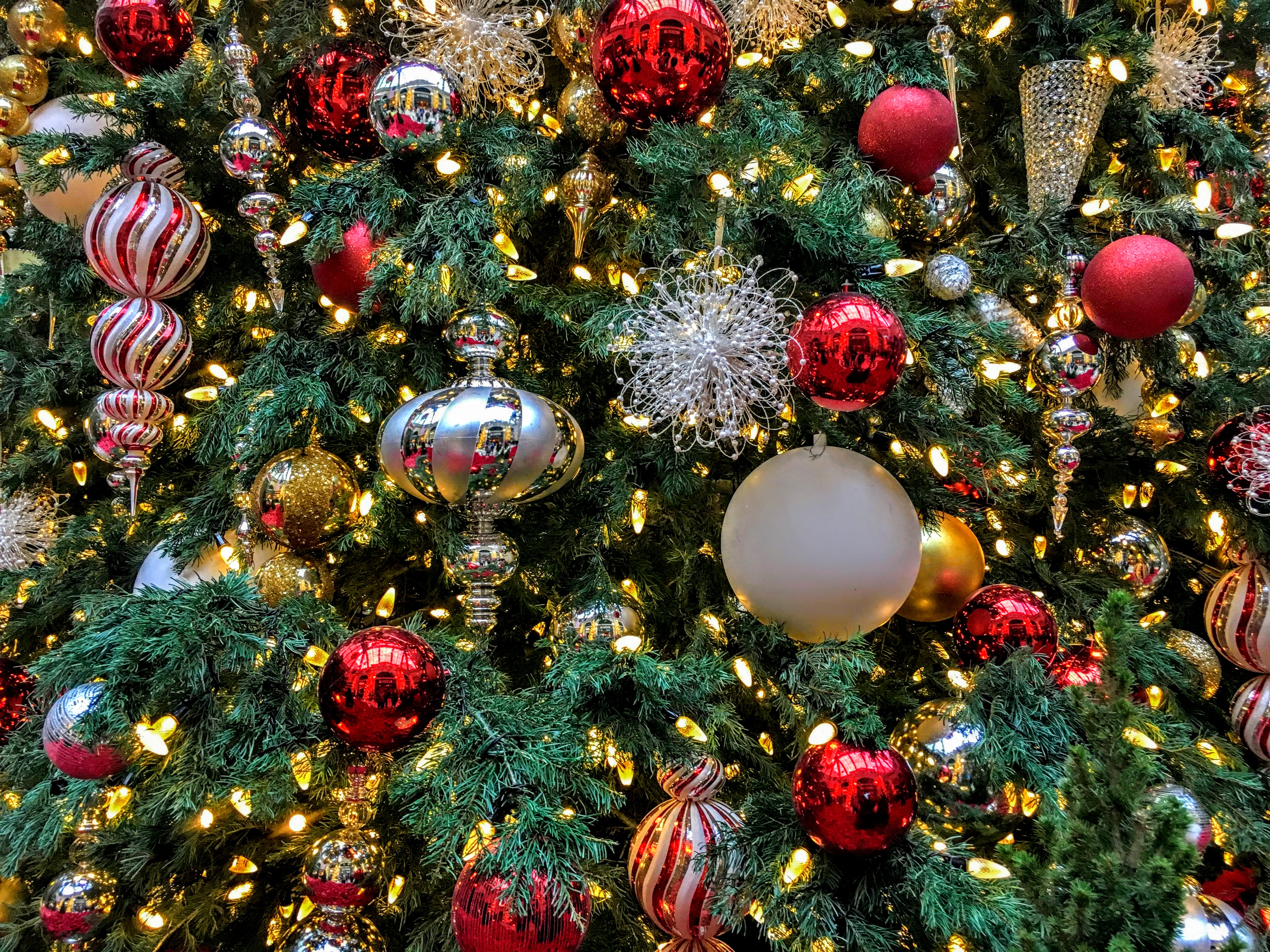 Christmas Splendor