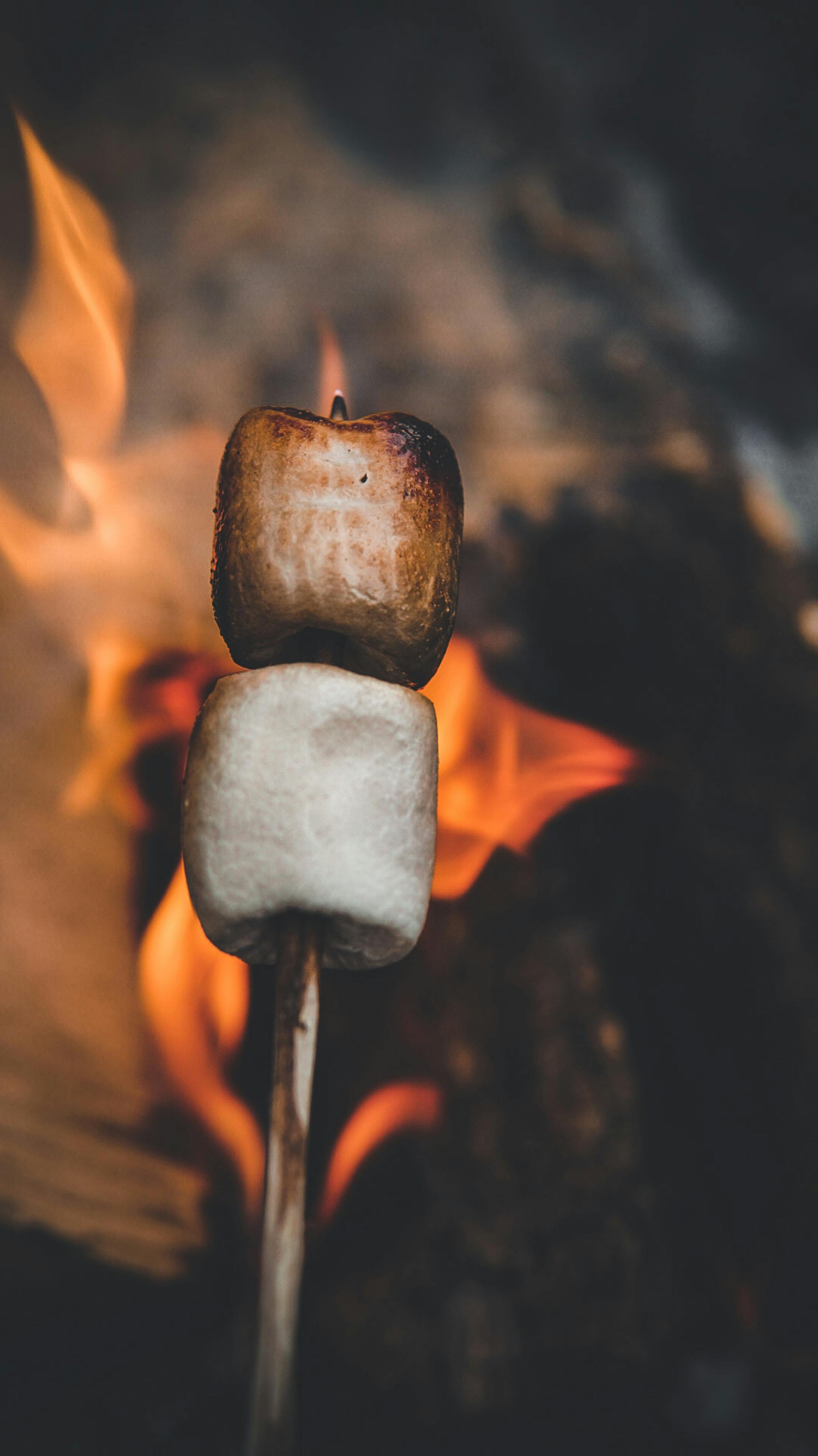 Campfire Marshmallow
