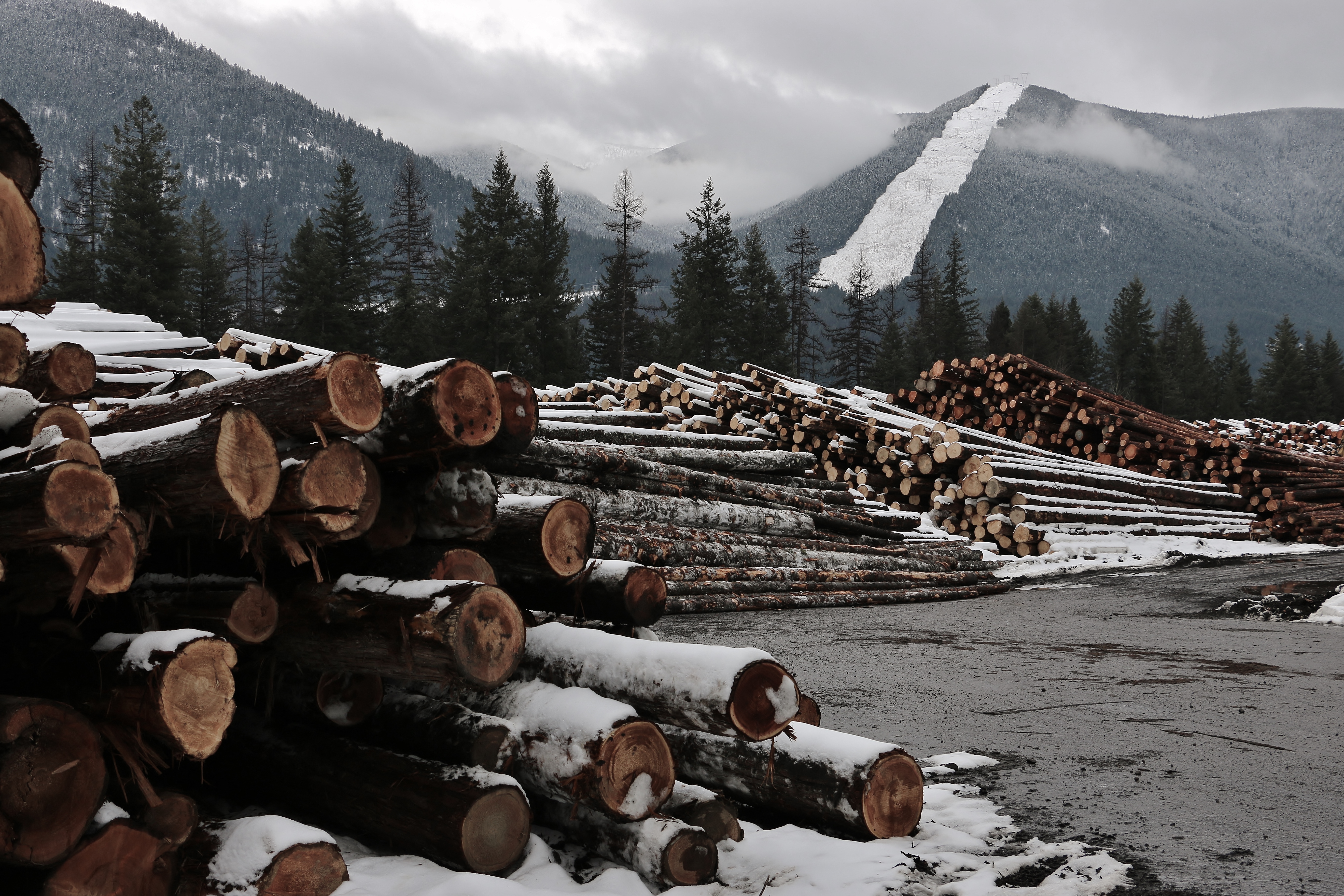 Lumber Yard