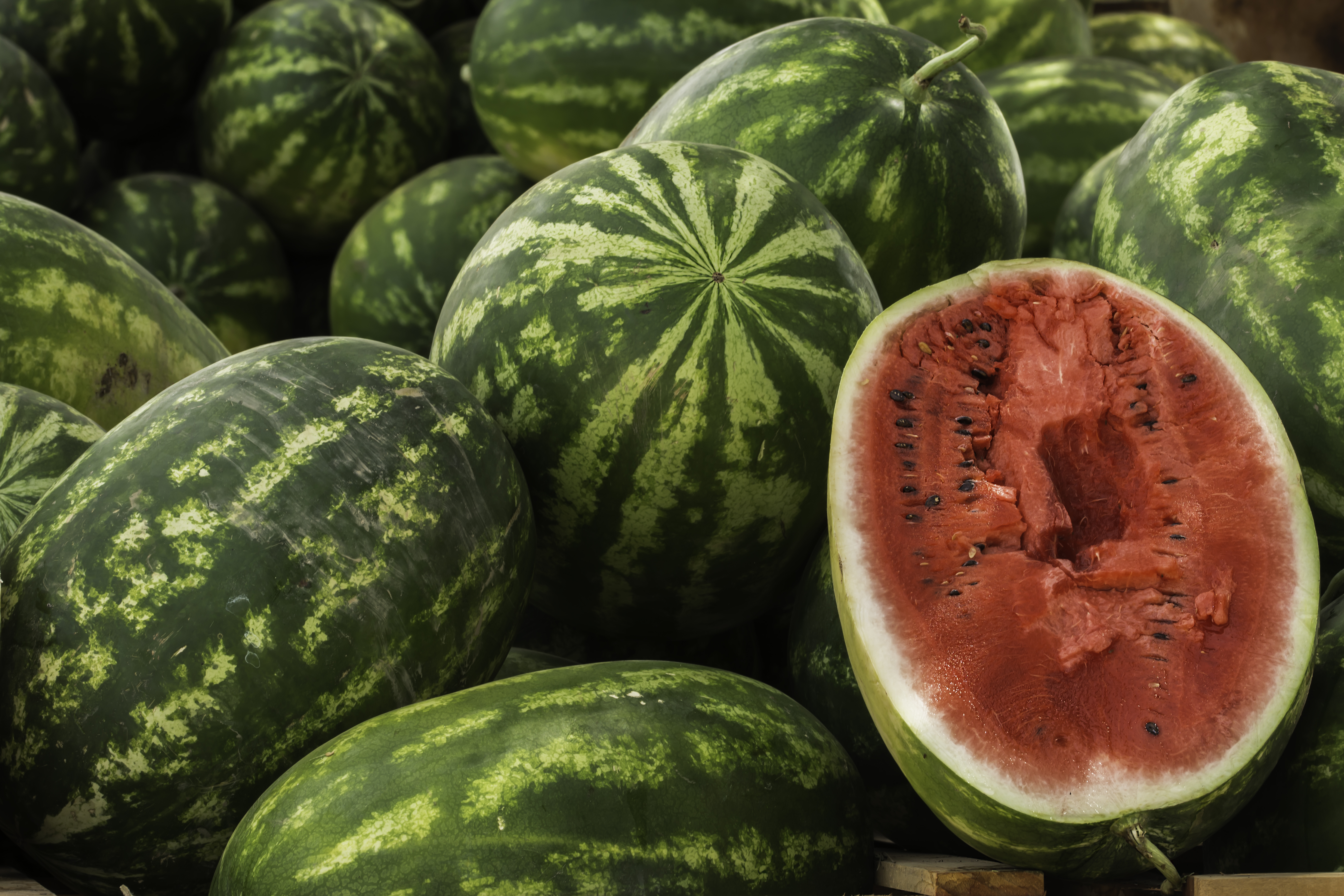 Watermelon Jolly Rancher